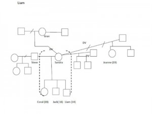 Childbirth experience essay image