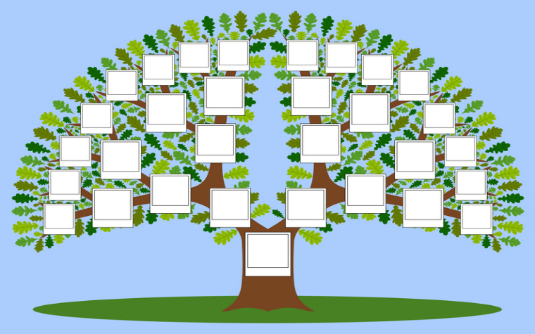 description_of_image_used_in_systemic_practice_guide_illustration_of_family_tree